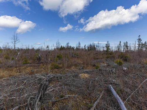 Lots Shore Road, Waterside, NS 