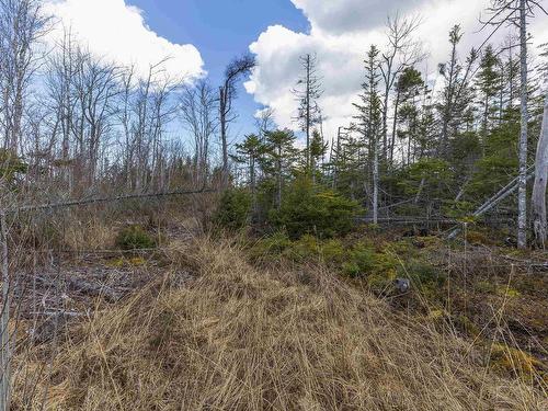 Lots Shore Road, Waterside, NS 