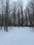 154 BOWLES BLUFF ROAD  Grey Highlands, ON N0C 1H0