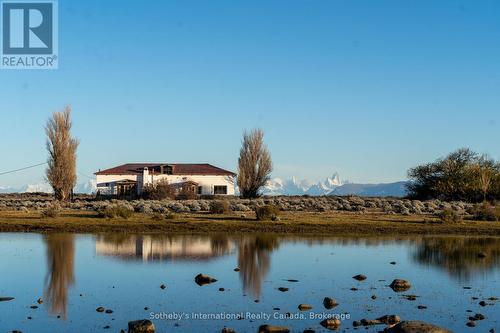 Fossils found in the property' land - . Ruta 23, Argentina, ON 