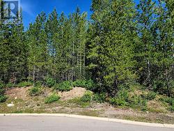 6 DEMPSEY Place  Elkford, BC V0B 1H0