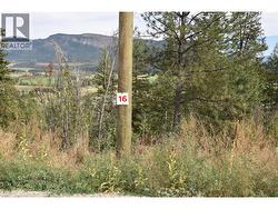 243 Crooked Pine Road  Enderby, BC V0E 1V1