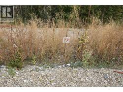 249 Crooked Pine Road  Enderby, BC V0E 1V1