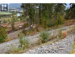 219 Crooked Pine Road Enderby, BC V0E 1V1