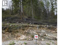 246 Crooked Pine Road  Enderby, BC V0E 1V1