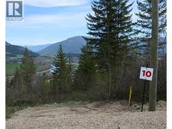 207 Crooked Pine Road Enderby, BC V0E 1V1