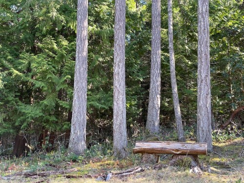 1840 Seymour Rd, Gabriola Island, BC 