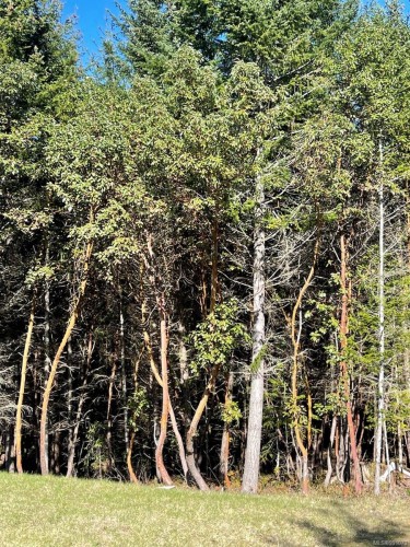 1840 Seymour Rd, Gabriola Island, BC 