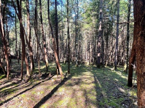 1840 Seymour Rd, Gabriola Island, BC 