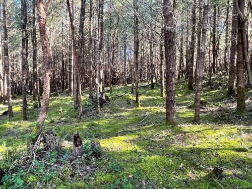 1840 Seymour Rd, Gabriola Island, BC 