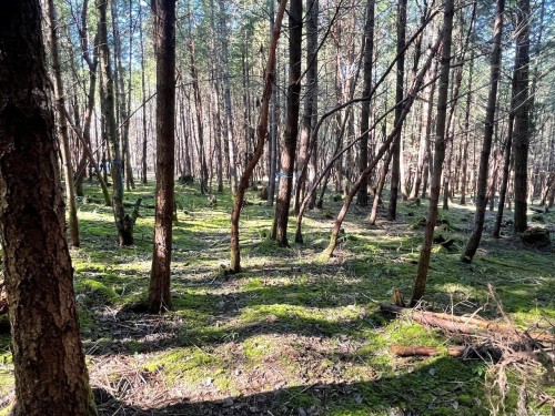 1840 Seymour Rd, Gabriola Island, BC 