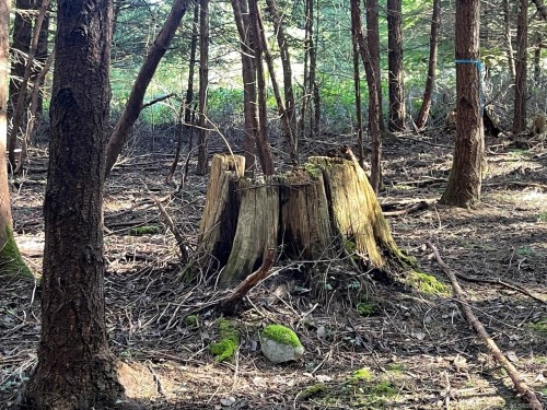 1840 Seymour Rd, Gabriola Island, BC 