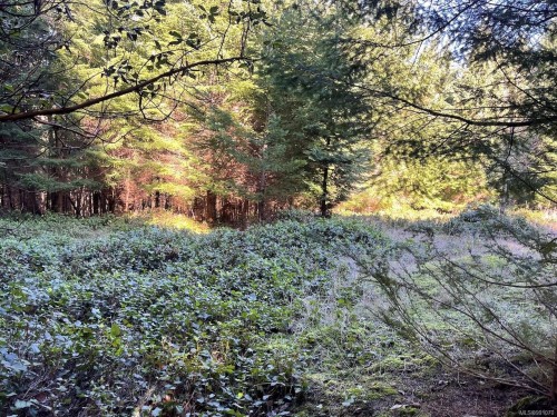 1840 Seymour Rd, Gabriola Island, BC 