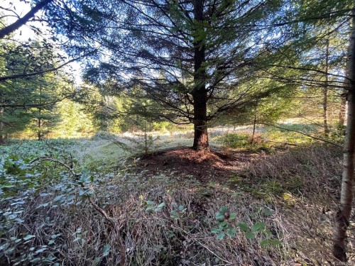 1840 Seymour Rd, Gabriola Island, BC 