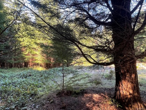 1840 Seymour Rd, Gabriola Island, BC 