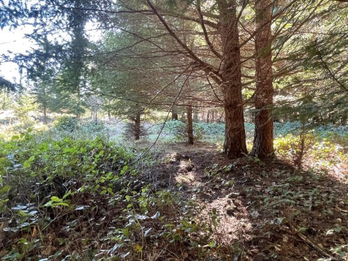 1840 Seymour Rd, Gabriola Island, BC 