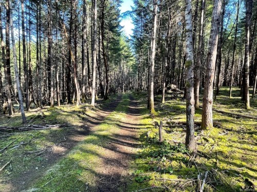 1840 Seymour Rd, Gabriola Island, BC 