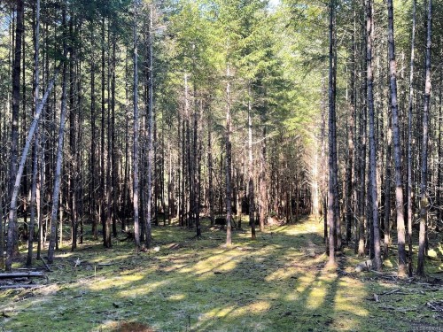 1840 Seymour Rd, Gabriola Island, BC 