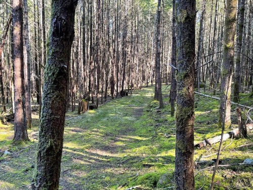 1840 Seymour Rd, Gabriola Island, BC 