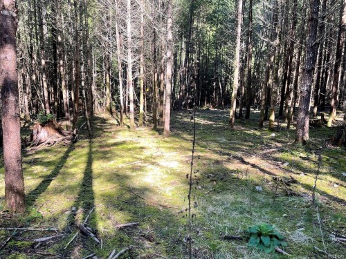 1840 Seymour Rd, Gabriola Island, BC 