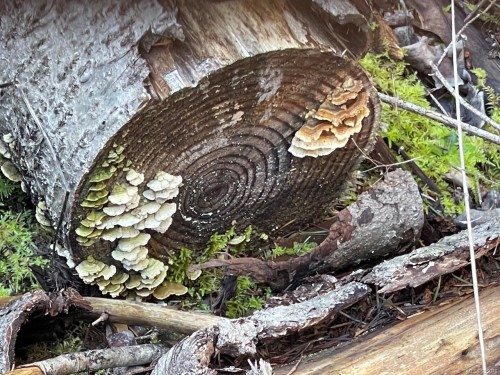 1840 Seymour Rd, Gabriola Island, BC 