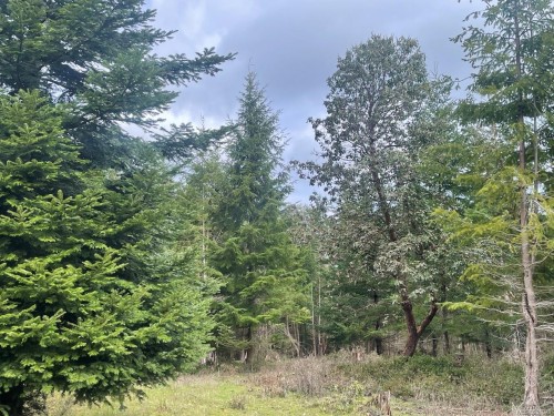 1840 Seymour Rd, Gabriola Island, BC 