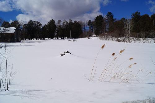 Terre/Terrain - Rue Laplante, Sutton, QC 