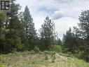 410 Sasquatch Trail Lot# Lot 26, Osoyoos, BC 
