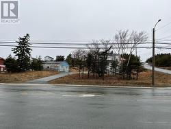 1566 Topsail Road  Paradise, NL A1L 1S6