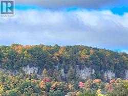 4197 WALKERS Line  Burlington, ON L7M 0Y3