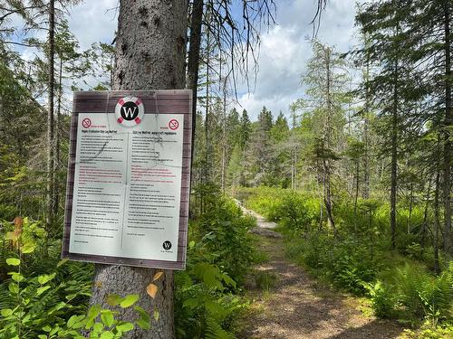 Accès au plan d'eau - Rue De La Forêt, Sainte-Marguerite-Du-Lac-Masson, QC 