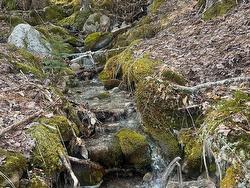 TransCanada 105  Bucklaw, NS B0E 3M0