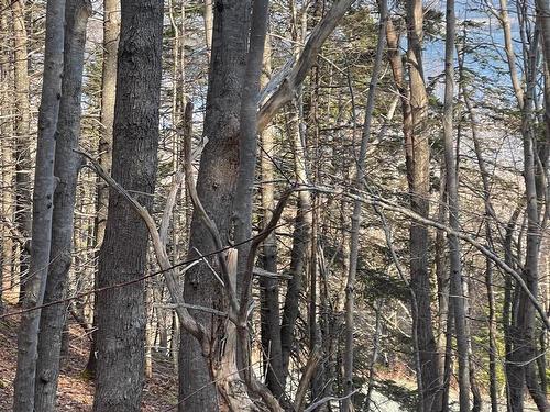 Transcanada 105, Bucklaw, NS 