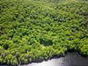Vue d'ensemble - Lac-Des-Écorces, Barkmere, QC 