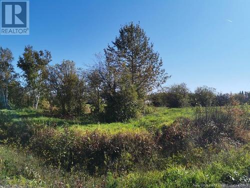Lot 23 Bellevue Street, Charlo, NB 