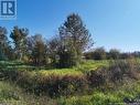 Lot 23 Bellevue Street, Charlo, NB 
