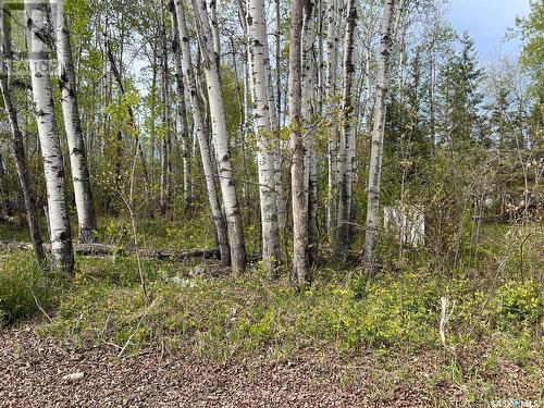 448 Cougar Road, Greenwater Provincial Park, SK 