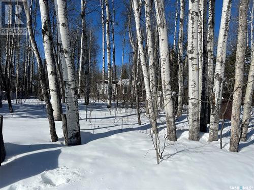 448 Cougar Road, Greenwater Provincial Park, SK 