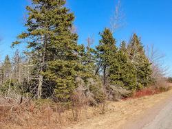 Peters Road  Peters Road, PE C0A 1R0