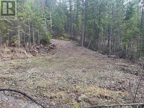 Lot 128 Broadwater Road, Castlegar, BC 