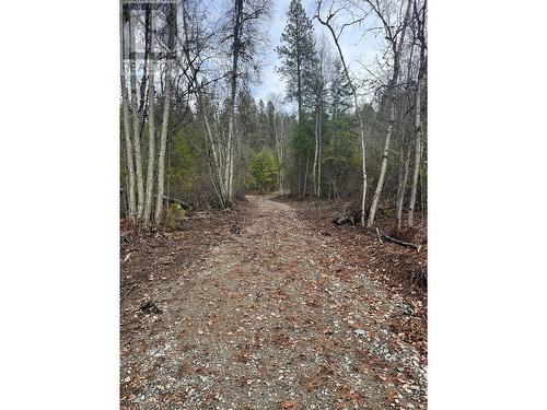 Lot 128 Broadwater Road, Castlegar, BC 