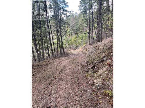 Lot 128 Broadwater Road, Castlegar, BC 