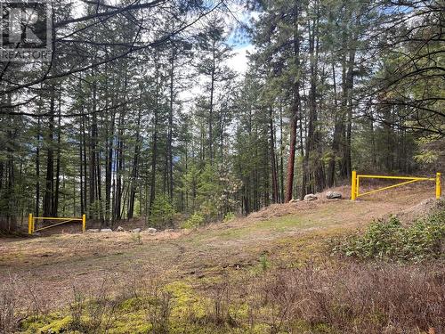 Lot 128 Broadwater Road, Castlegar, BC 