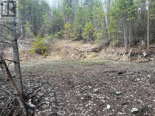 Lot 128 Broadwater Road, Castlegar, BC 