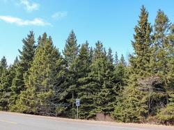 Peters Road  Peters Road, PE C0A 1R0