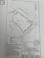 97 Columbus Drive  Carbonear, NL A1Y 1A6