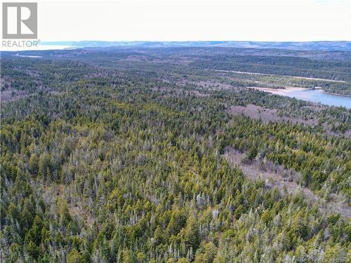 0 Route 915, Cape Enragé, NB 