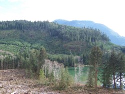 DL 704 Bessborough Bay Kelsey Bay, BC V0P 0A5