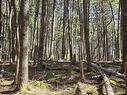 Lot 3 Beaver Row, Labelle, NS 