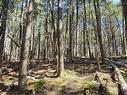 Lot 3 Beaver Row, Labelle, NS 